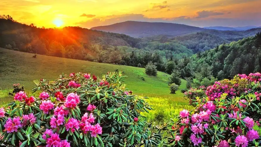 大自然山水风景高清桌面主题壁纸图片(三)