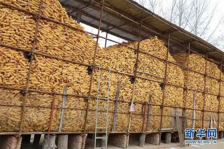 一个种粮大户的"惊"后之"喜"