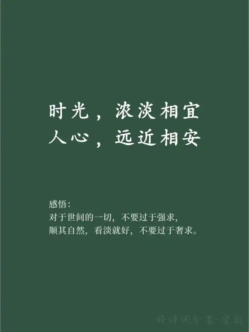 学会释然# #素材# #学习# #好词好句积累# #惊艳到你的句子# #好春妹