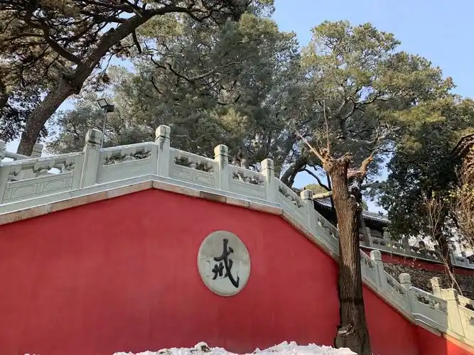 冬月初雪曰喜游戒台寺