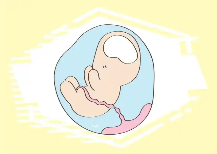 胎儿时期就能洞见智商高下这几种反应恭喜孕妈