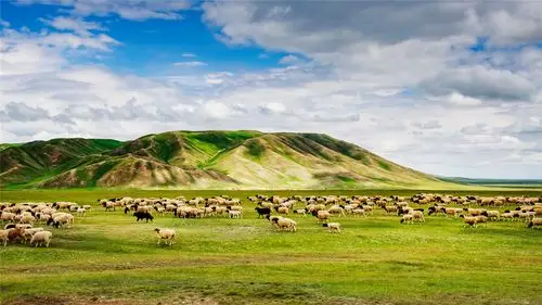 巴音布鲁克草原风光高清桌面壁纸_风景壁纸_壁纸下载_美桌网