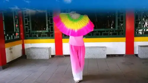 八一公园舞蹈队荞麦花单扇舞表演个人版