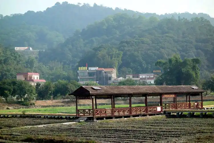 广州的美丽乡村风光 - 美篇