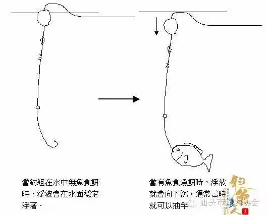 在什麽情况下使用00号浮波00号浮波是在无法知道鱼的所在鱼层时使用