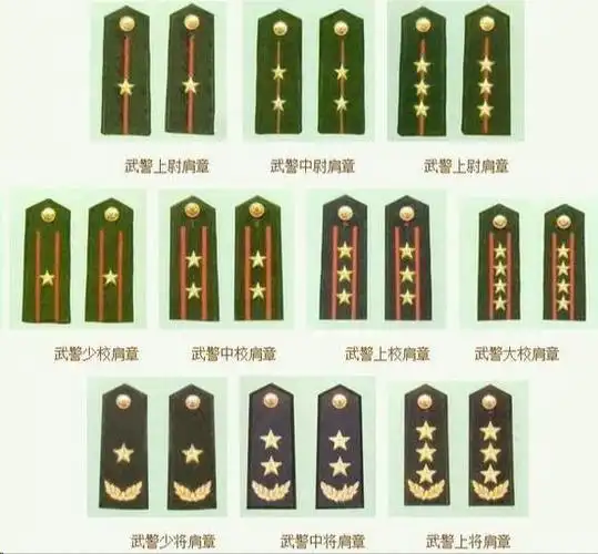 三星一花是中国军队中最高级别的军衔之一,代表着上将的身份和地位.