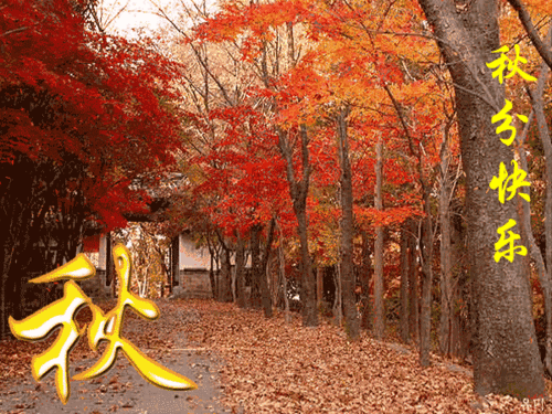 600_450gif 动态图 动图