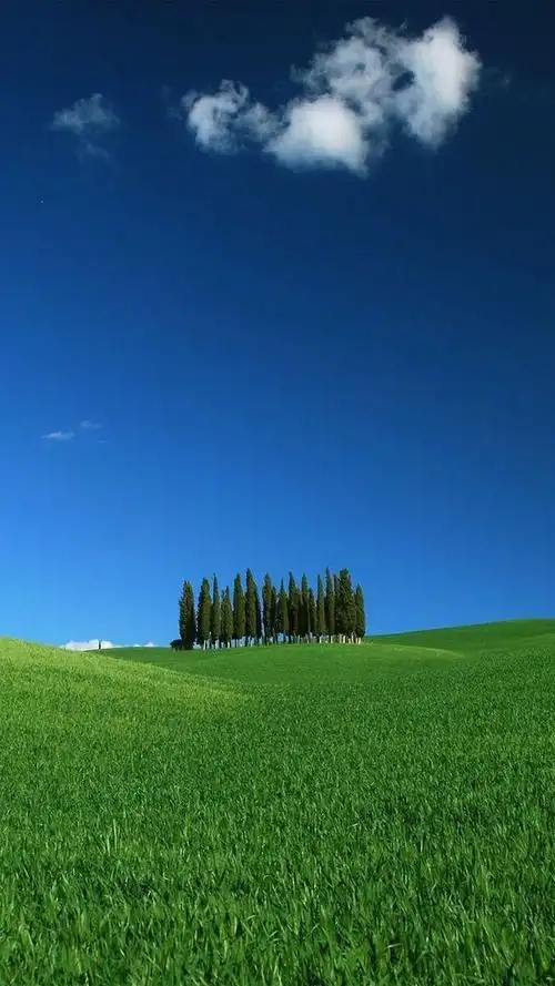 迷人的大草原风光,风景-手机壁纸