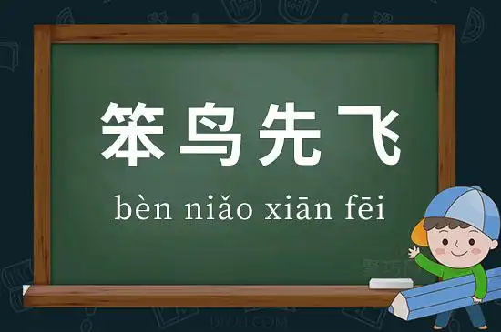 成语笨鸟先飞释义