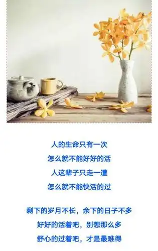 酸甜苦辣才是人生