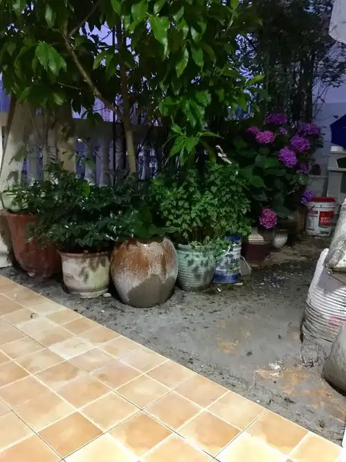 花麻麻生日快乐!