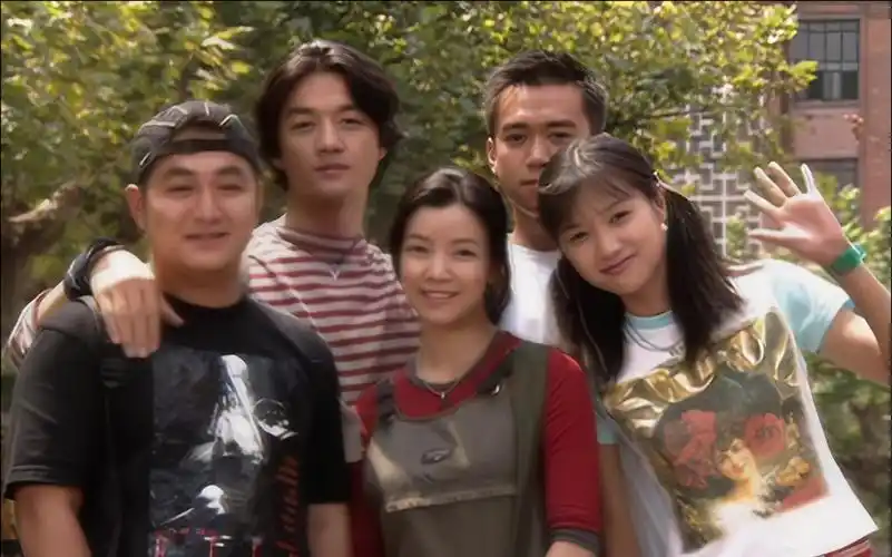 将爱情进行到底 第二十集大结局 4k高清修复 李亚鹏 徐静蕾 王渝文