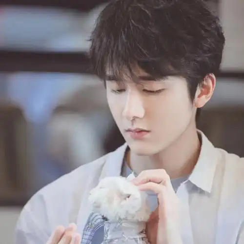 是可以用头像是喜羊羊#张新成