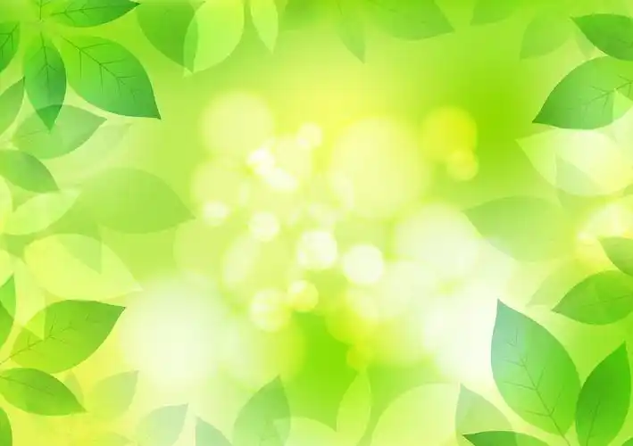 矢量清新的绿叶背景图片,ppt图片 - 51ppt模板网