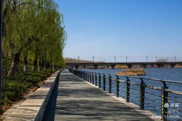 台前县:春天的金堤河  一曲无言的歌