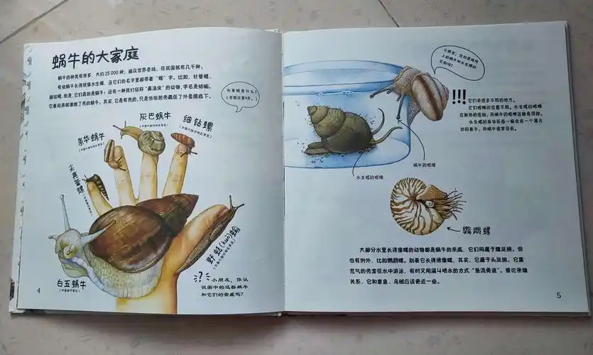 科学:探究蜗牛