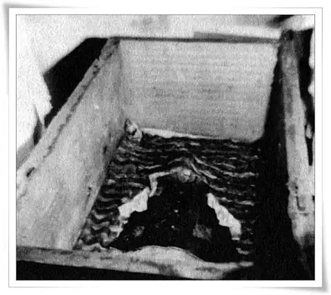 38岁的光绪比73岁的慈禧早死一天真凶究竟是谁