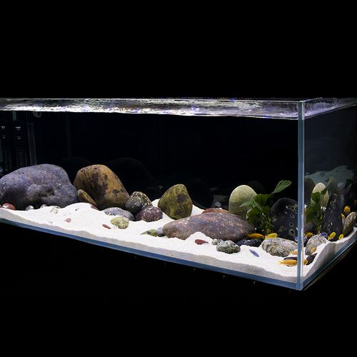 造景鹅卵石鱼缸套餐组合三湖草缸原生南美缸龟缸造景