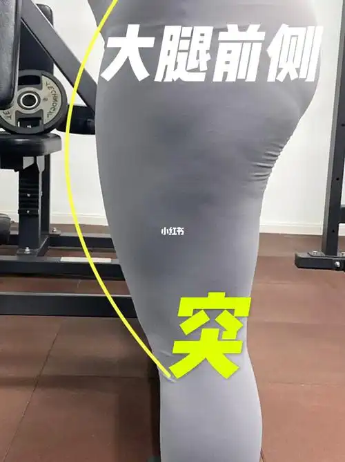 大腿前侧突出_体态管理_瘦大腿_腿型_教程_瘦腿_大腿前侧肌肉突出