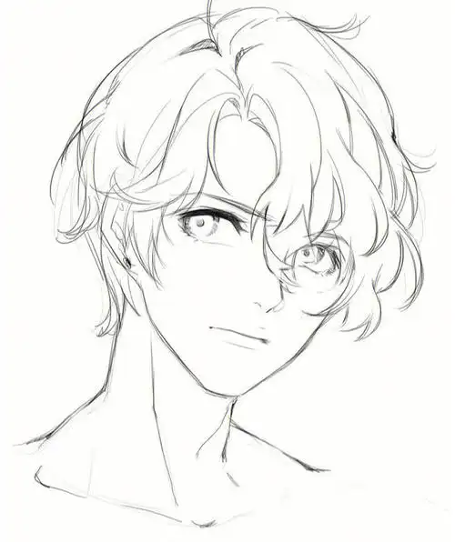 绘画初学者怎么练好线稿