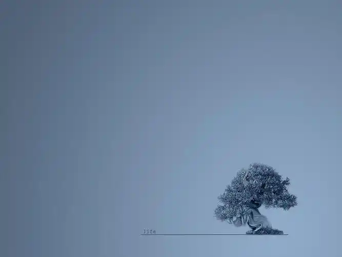 108张珍藏精美的背景图片〔绝对好看(经典简约)课件.ppt