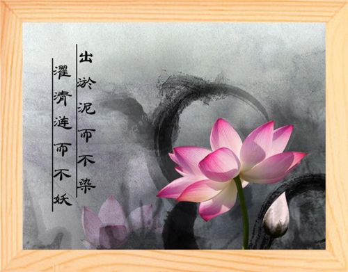 营养书画 天然实木有框画挂摆件 出淤泥而不染濯清涟而不妖 5款