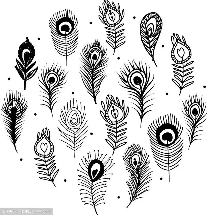 为您设计的孔雀羽毛
