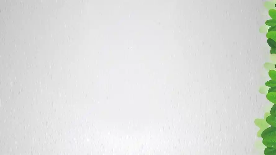 环保主题商务简约风绿色系通用动态ppt模板素材方案