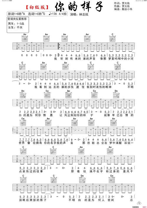 你的样子吉他谱初级版简谱-林志炫演唱1