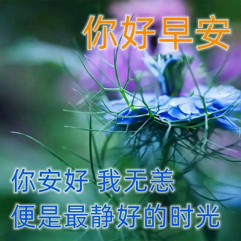 早安最漂亮问候图片 早上好的祝福语 美好的一天正能量句子