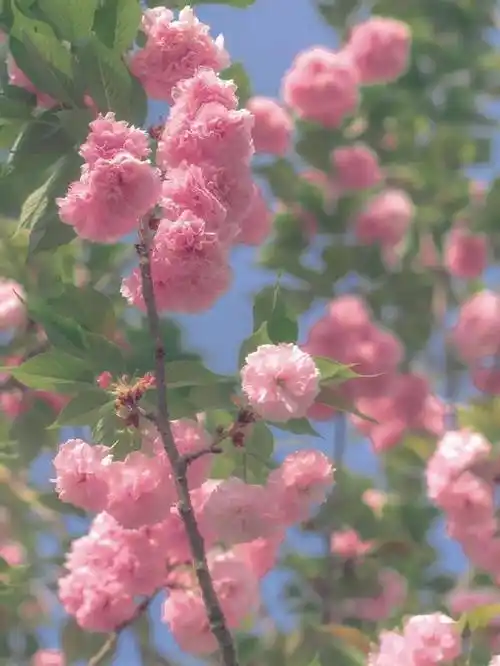 背景图特别养眼的精致微信背景图