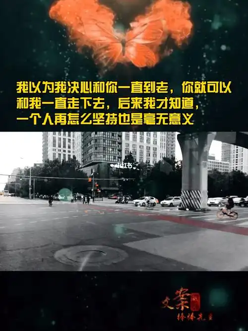 我以为我决心和你一直到老你就可以和我一直走下去后来我才知道一个人