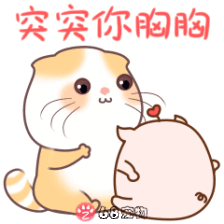 68宠物app微信qq搞笑萌宠物动态表情:毛豆