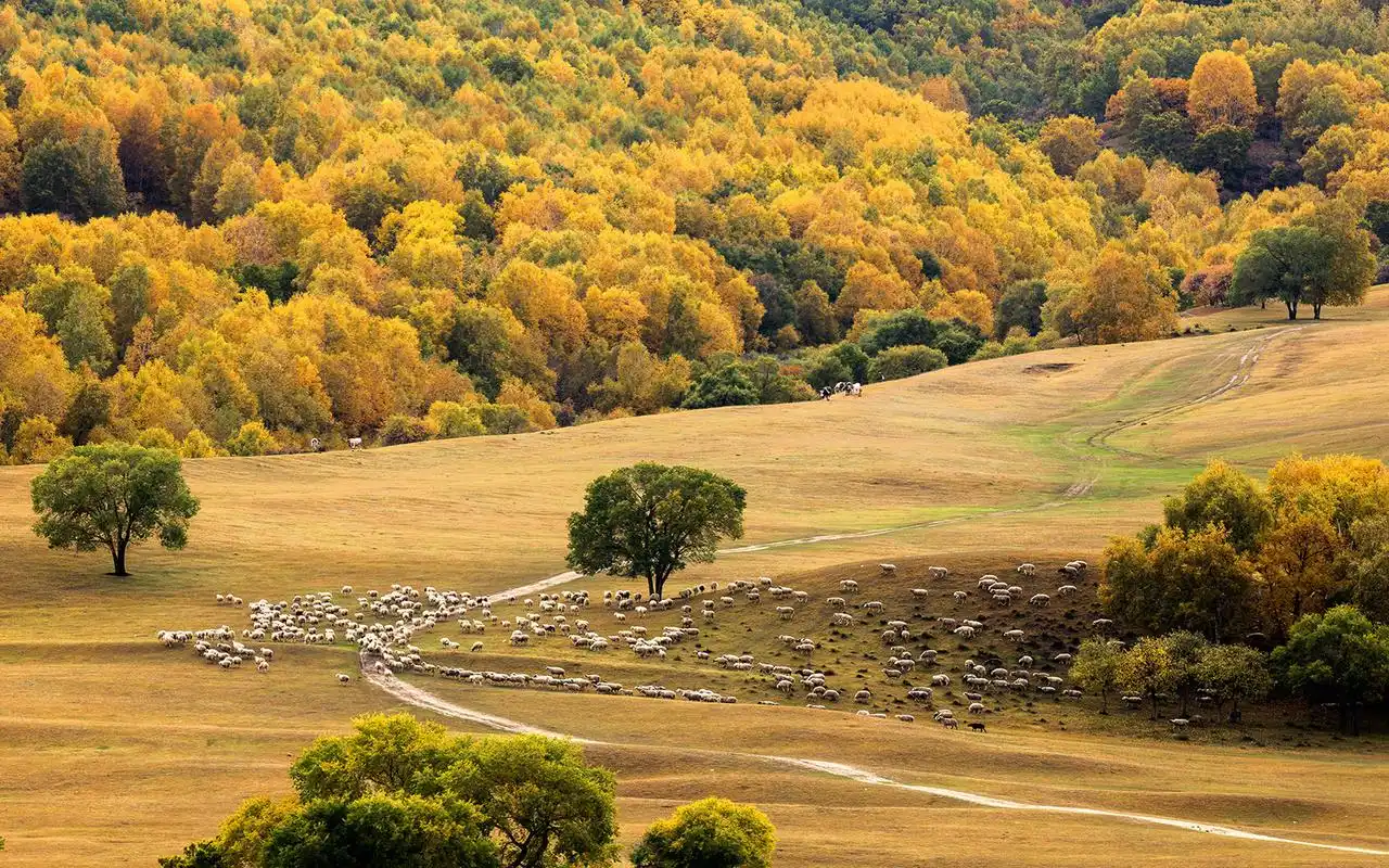 坝上草原清新自然风景桌面壁纸高清大图预览1920x1200_风景壁纸下载