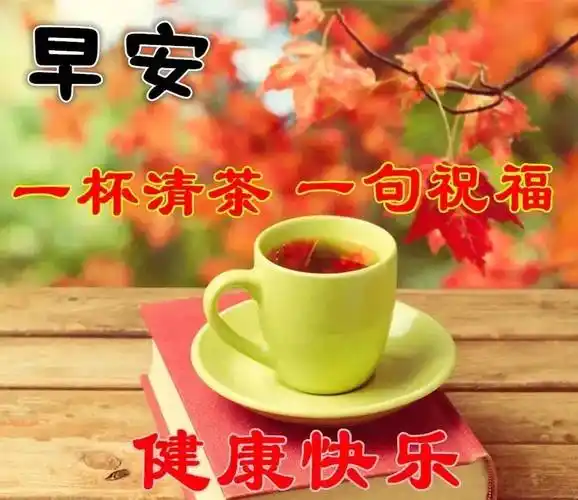 今日最新版早安问候大全创意好看的早上好祝福图片带字温馨