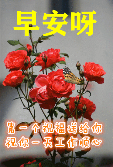 清晨问候的,都是牵挂.真诚祝福的,都是吉祥! 新的一天,早上好!