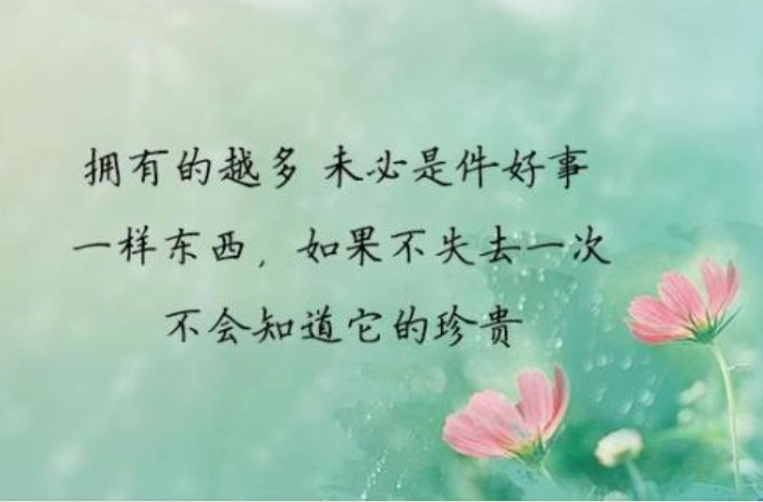 经历了一些事情才知道什么是珍惜的经典语句