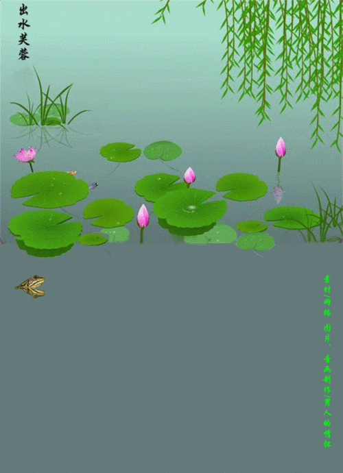 【原创音画】荷花 - 男人的情怀 - 丹阳市三中孙云芳老师的博客