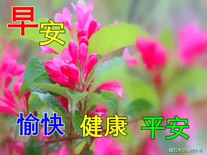 11月19日冬日最新特漂亮早上好图片动态表情大全,最美风景早上好美图