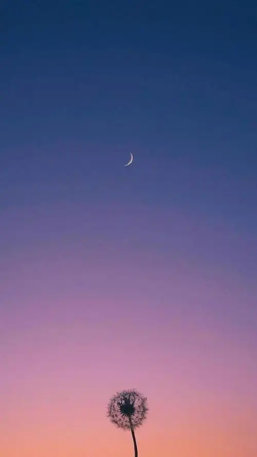 小清新个性唯美意境写真