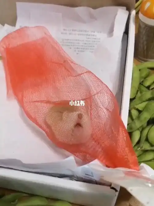 我家宠物好可爱  #仓鼠  #我的萌宠  #仓鼠日常