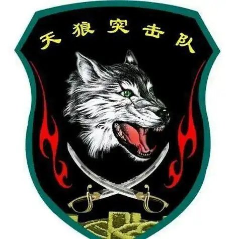 天狼突击队,是一个英雄的特种部队,具有光荣且长久的历史,是由抗战