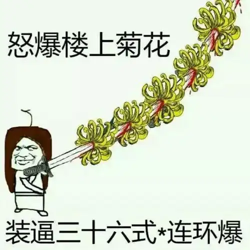 怒爆楼上菊花,装逼三十六式-连环爆_怒爆_装逼_连环表情