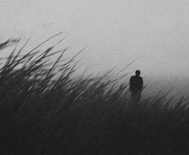 适合夜晚的看的句子,伤感落寞,触动人心!