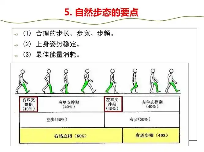 (2) 上身姿势稳定.     最佳能量消耗.