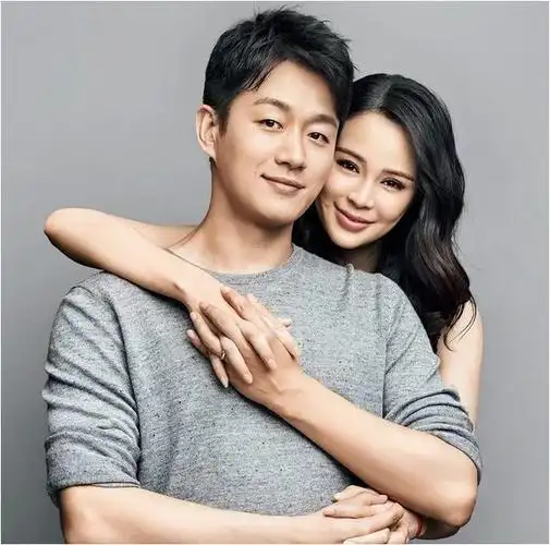 佟大为妻子关悦为家庭放弃事业幸福之路洒满泪水