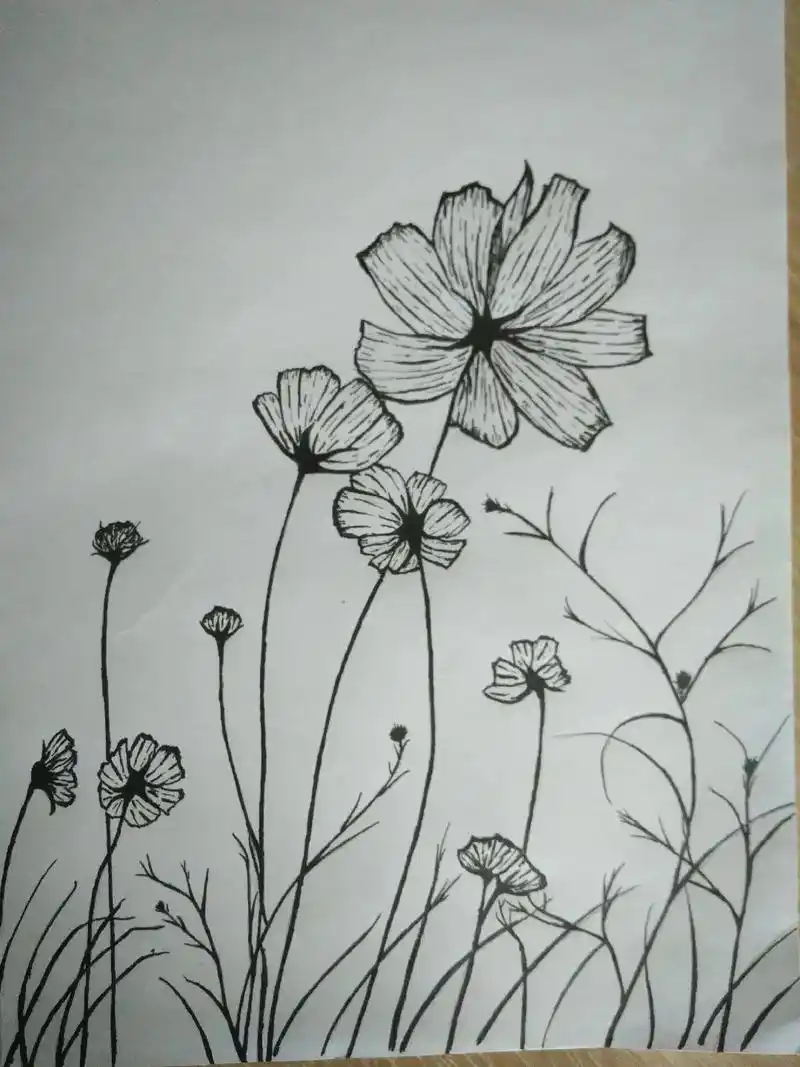 初学素描画 - 睿猪猪 - 抖音