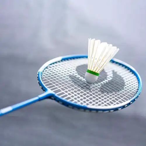 oem wholesales badminton racket cheap lining badminton racket