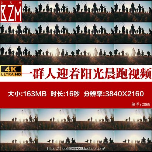 4k一群人迎着阳光晨跑健康跑步锻炼团队奋斗努力奔跑实拍视频素材