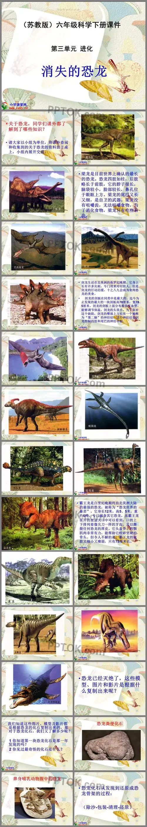 主要介绍了梁龙;剑龙;霸王龙;恐龙化石从发现到还原成恐龙骨架的过程